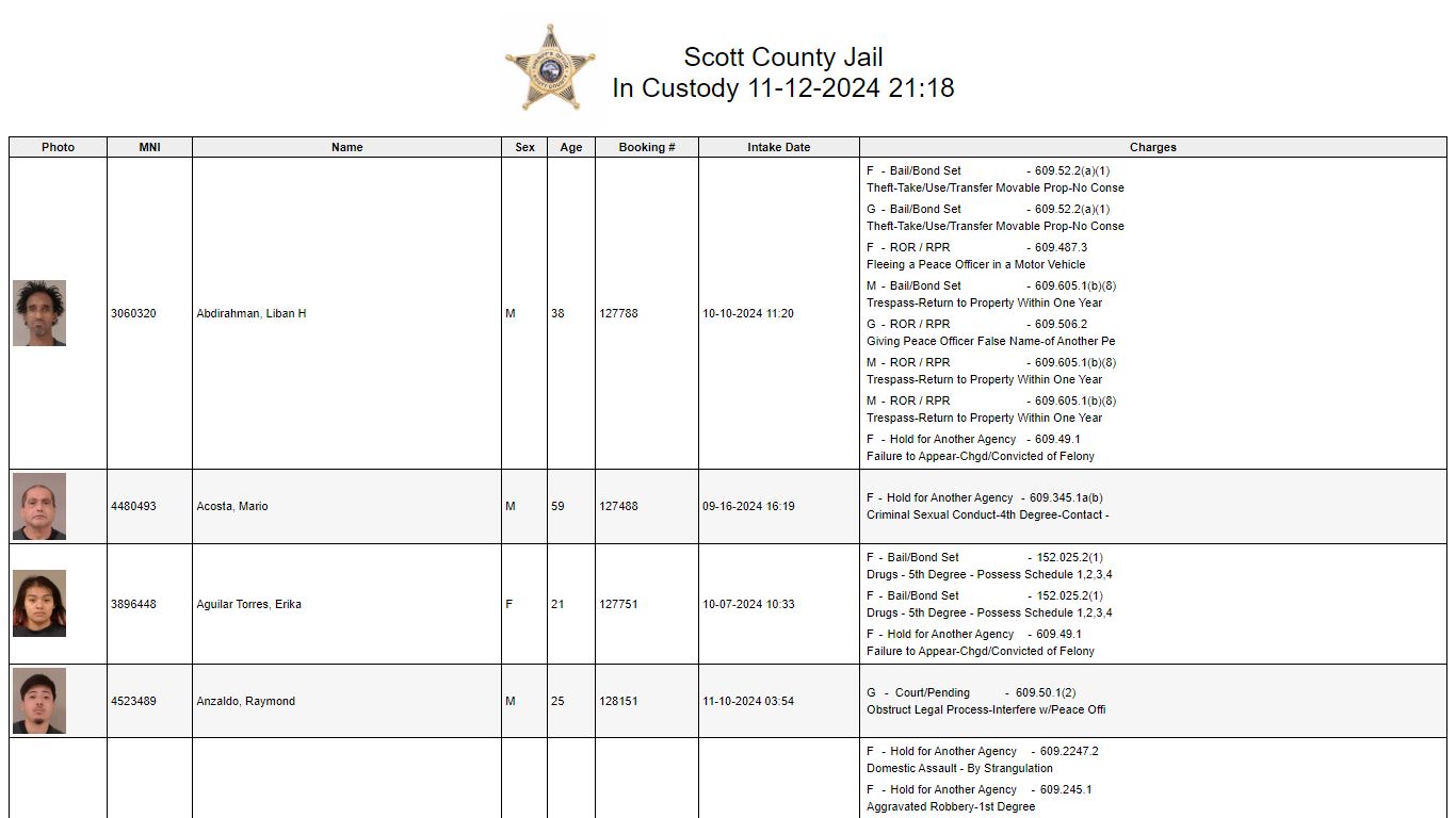 Custody - Scott County, Minnesota